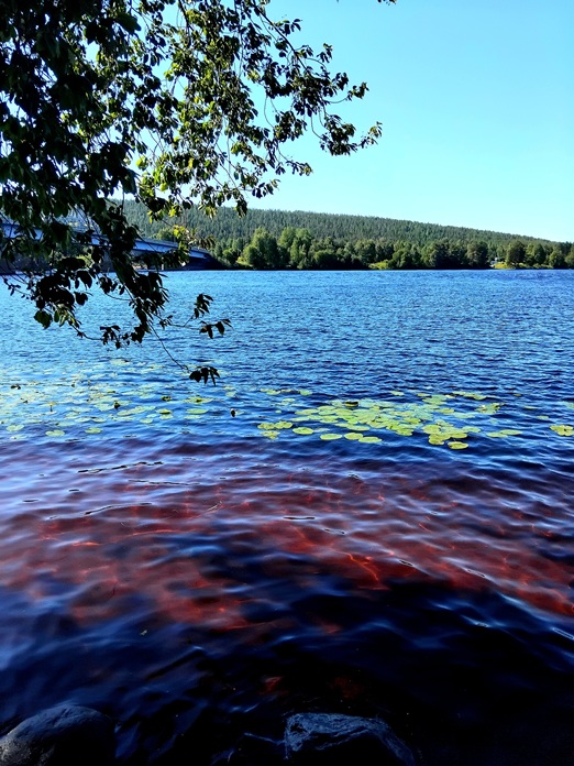 Kuva joesta, missä osa on sinistä vettä ja osa vedestä tuntuu kuin liekehtivän sisäisesti.