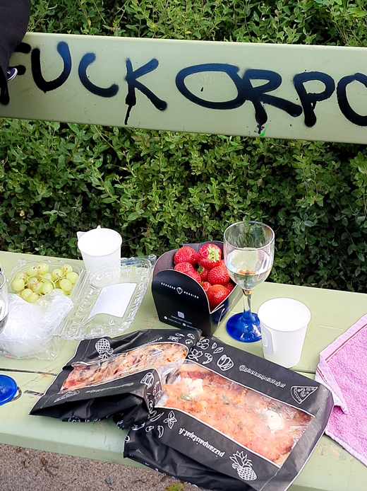 Piknik, puiston penkin selkämyksessä lukee F*ck Orpo