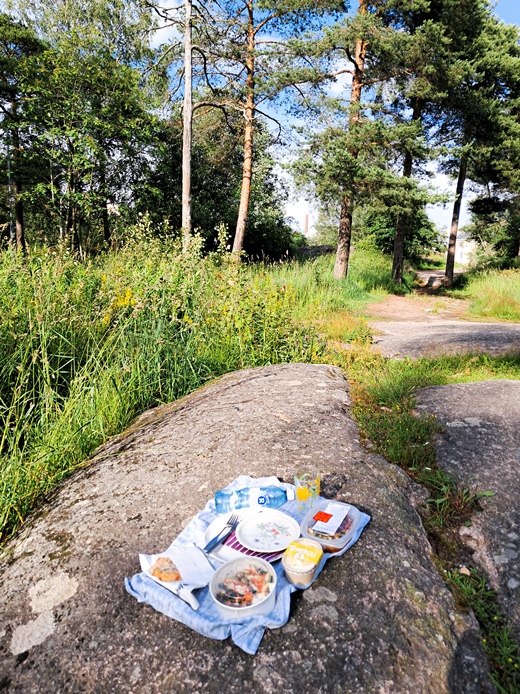 Kattaus kalliolla. Taustalla puita ja heinikkoa