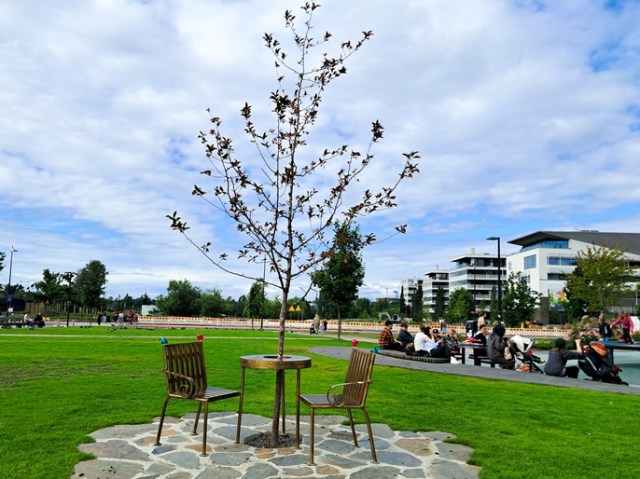 Kuvassa puu, jonka ympärillä on metallinen pöytä ja kaksi tuolia. Taustalla on ihmisiä istumassa.