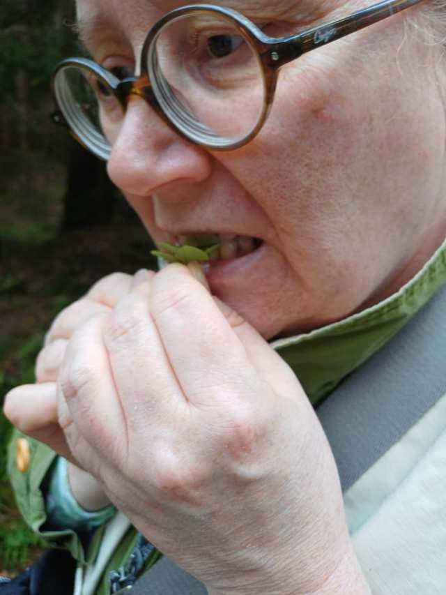 Silmälasit ja ihminen, sekä ketunleipä suussa