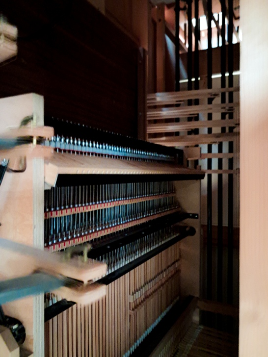 Urkujen sisäisiä puisia rakenteita